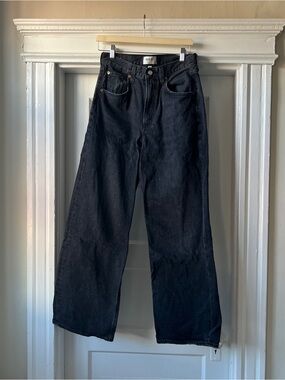 Agolde Low Slung Baggy Jeans